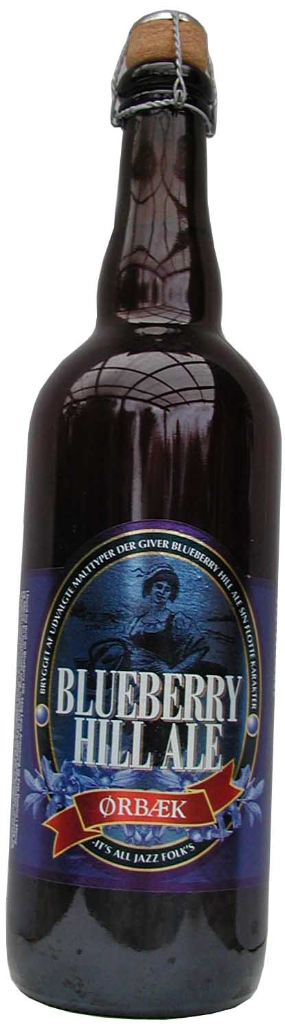 Ørbæk Blueberry Hill Ale